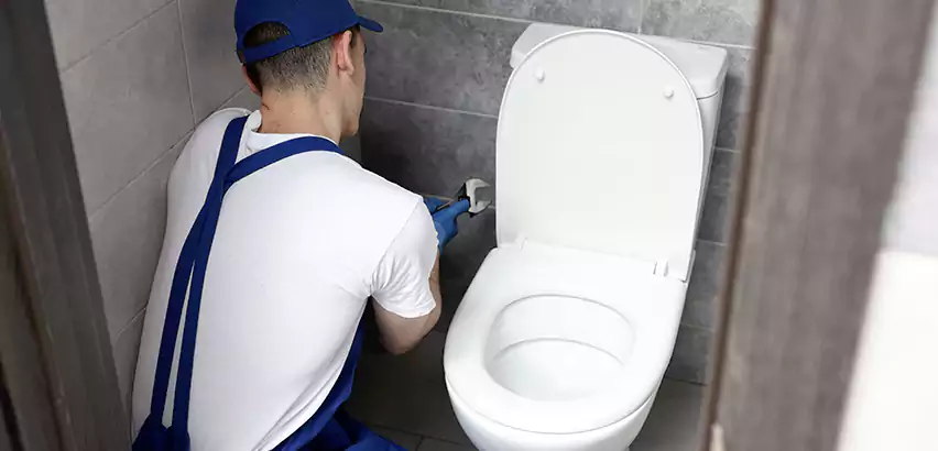 Toilet Lid Replacement in Corona